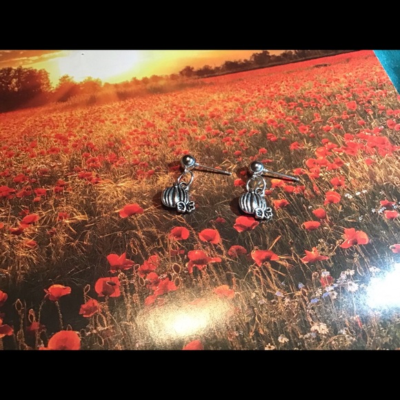 Pumpkin earrings stainless studs silver fall 925 - Picture 6 of 7